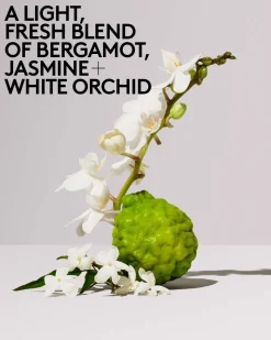 Butta Drop Whipped Oil Body Cream with Tropical Oils + Shea Butter