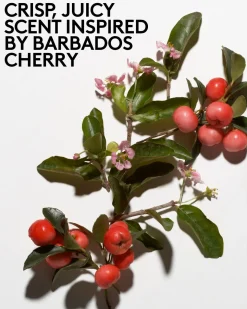 Cherry Dub Triple Action AHA Body Scrub