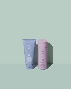 The Protection Posse Instant Damage Repair Treatment + Heat Protectant Set