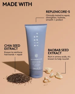 The Protection Posse Instant Damage Repair Treatment + Heat Protectant Set