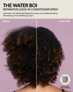 The Water Boi Reparative Leave-In Detangling Conditioner Spray